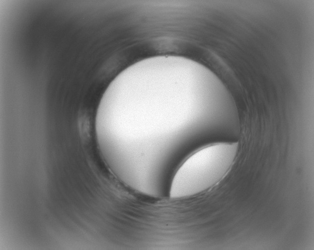X0000068850124200605051028