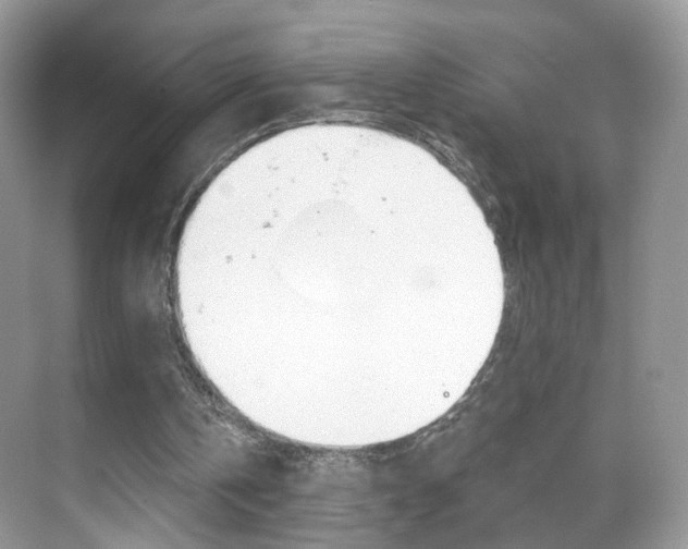 X0000068850146200605051026