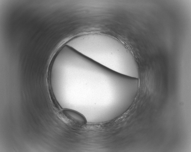 X0000068850147200605051026