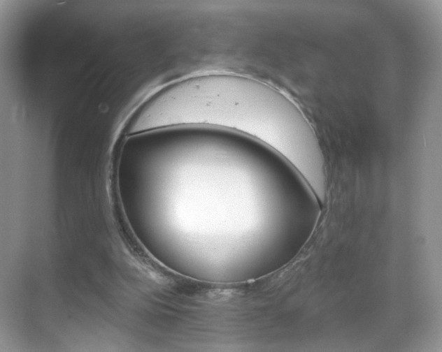 X0000068850152200605051026