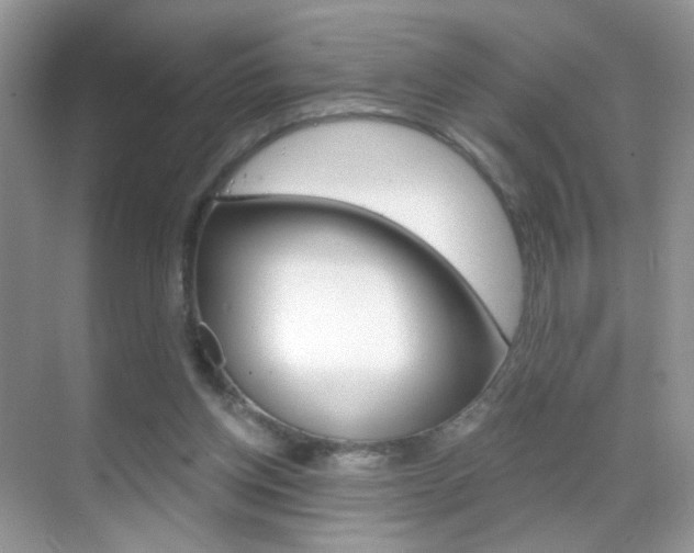 X0000068850158200605051027