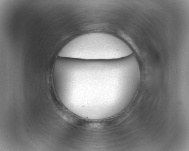 X0000068850161200605051027