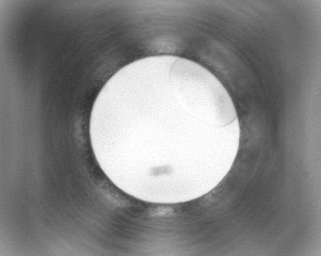 X0000068850162200605051027