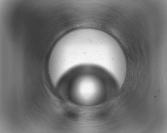 X0000068850164200605051027
