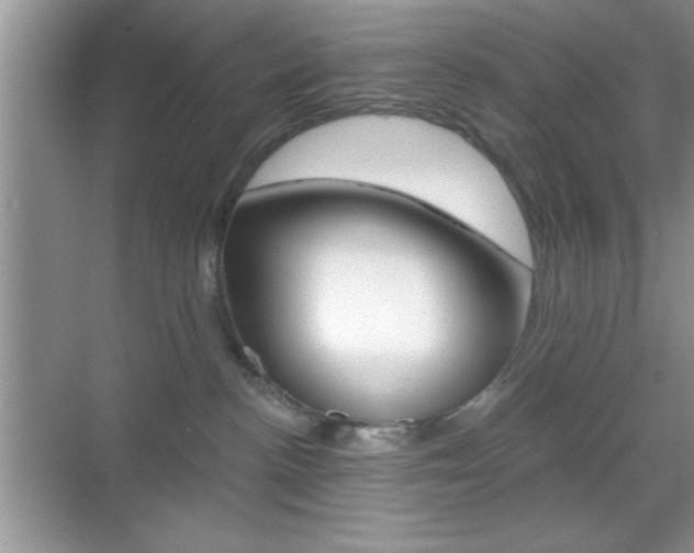 X0000068850188200605051027