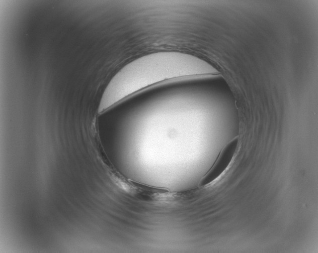X0000068850192200605051027