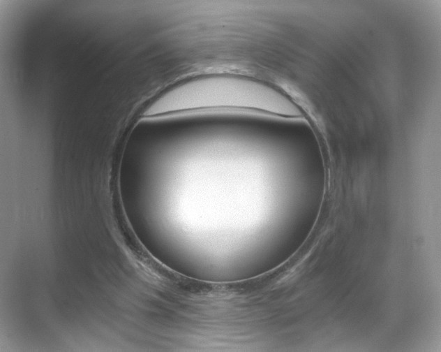 X0000068850201200605051026