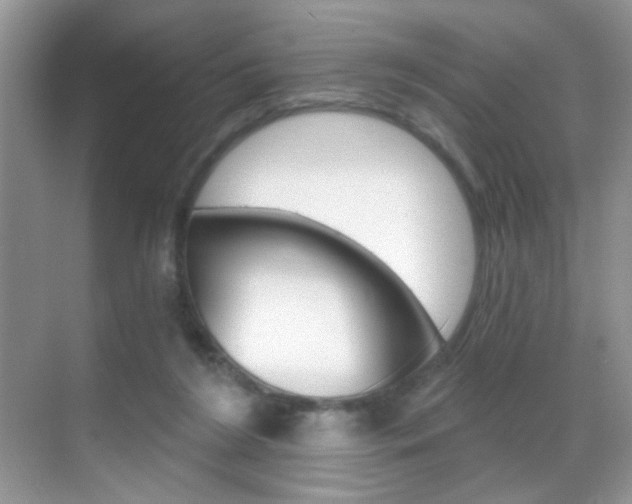 X0000068850212200605051026