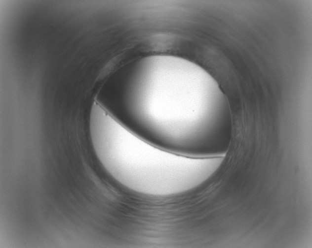 X0000068850216200605051026
