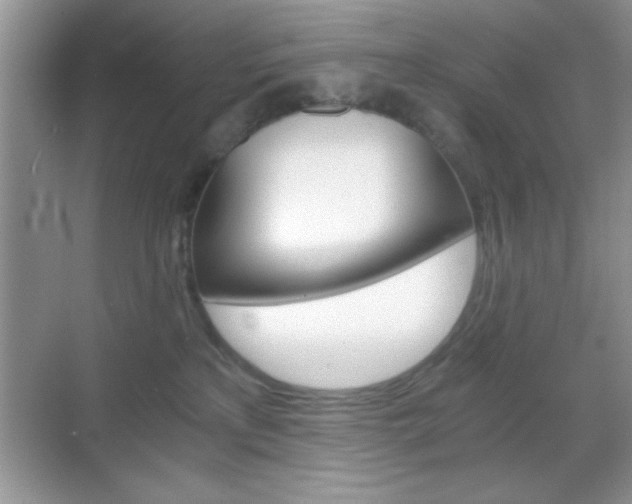 X0000068850233200605051026