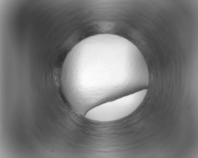 X0000068850234200605051026