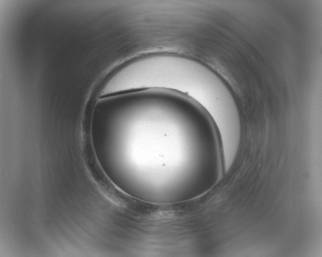 X0000068850252200605051025