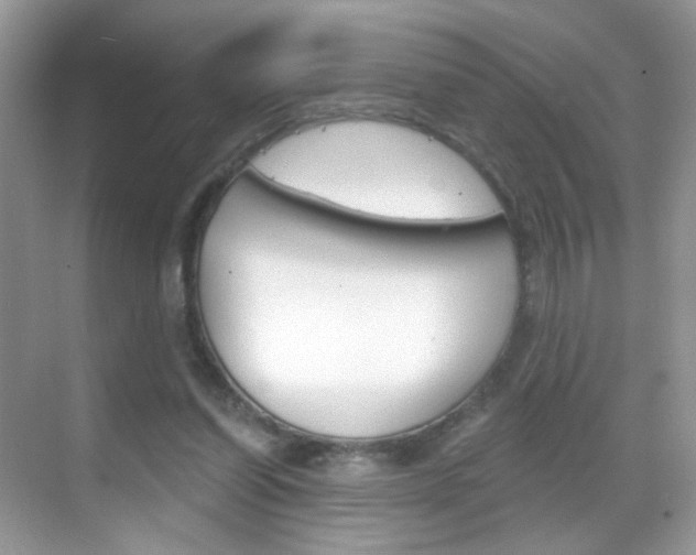 X0000068850254200605051025