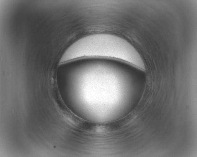 X0000068850264200605051025