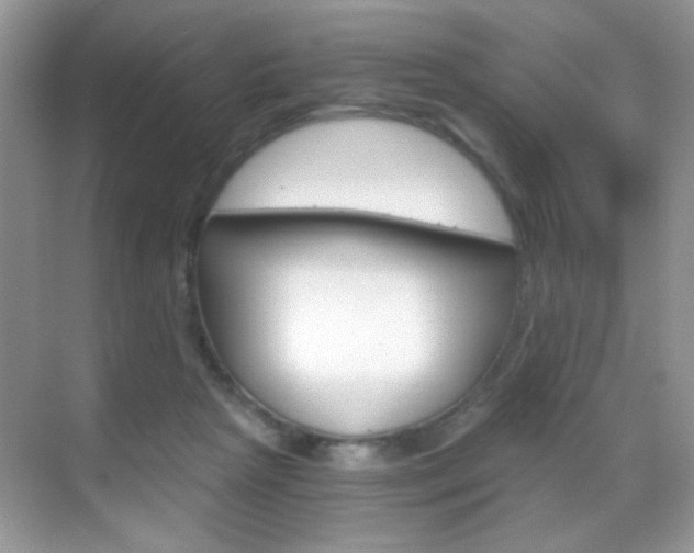 X0000068850265200605051025