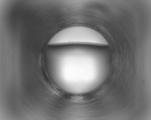 X0000068850266200605051025