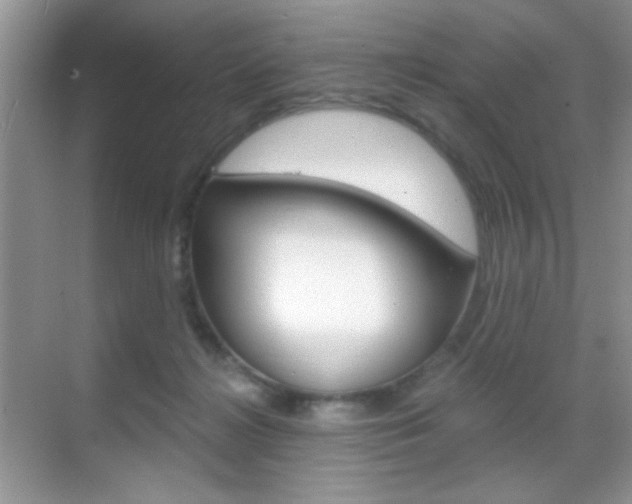 X0000068850268200605051025