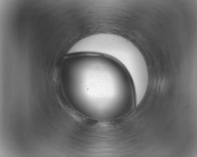 X0000068850280200605051025