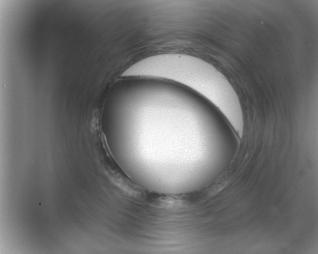 X0000068850284200605051025