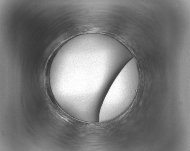 X0000068850290200605051025
