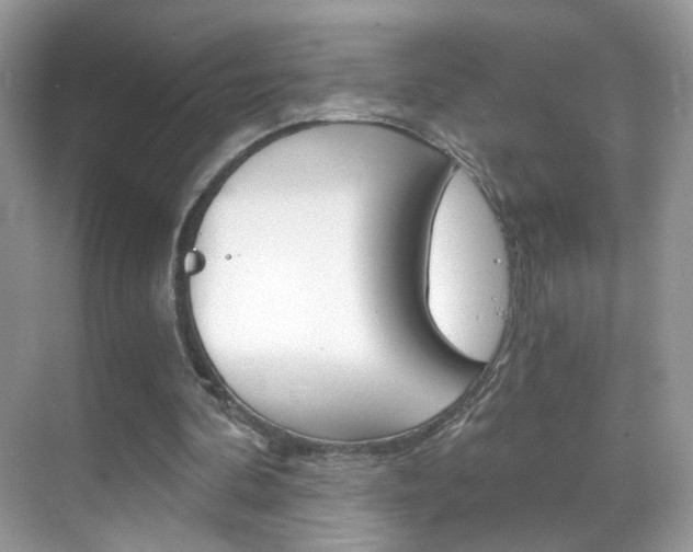 X0000068850292200605051025
