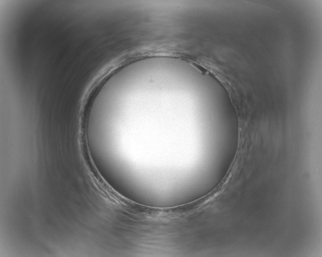 X0000068850293200605051025