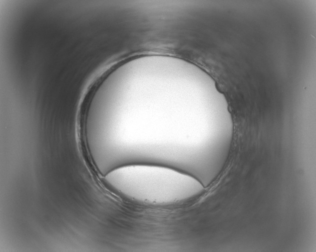 X0000068850294200605051025