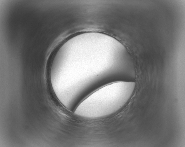 X0000068850296200605051025