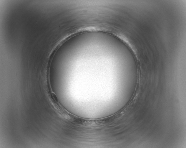 X0000068850297200605051025