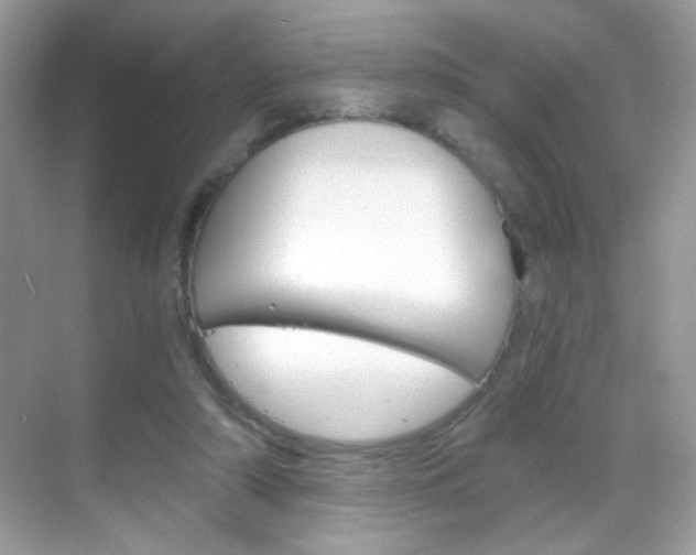 X0000068850306200605051024