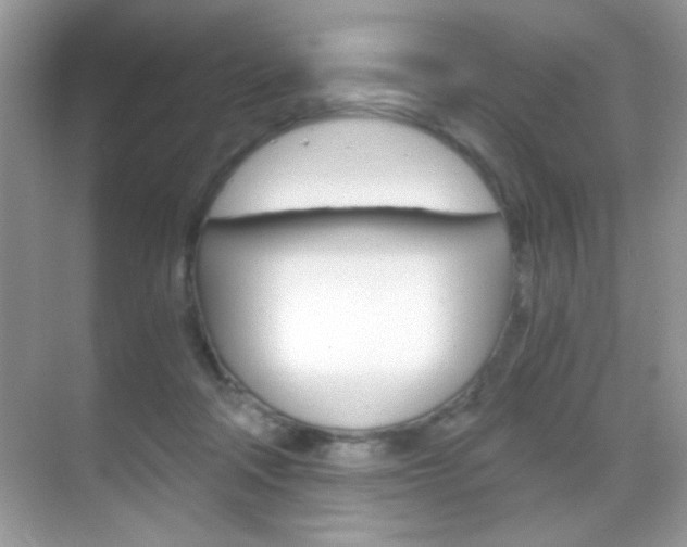 X0000068850314200605051024