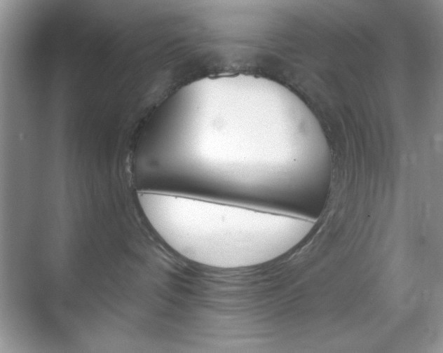 X0000068850336200605051024