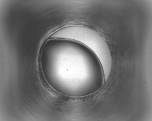 X0000068850340200605051023