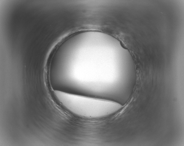 X0000068850342200605051023