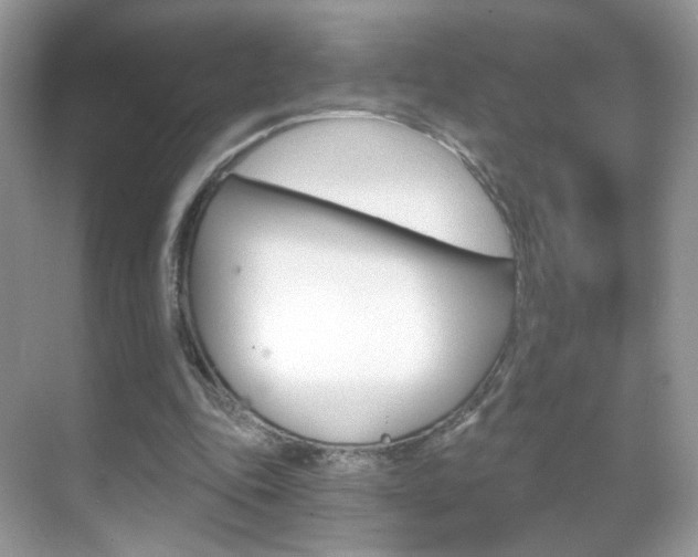X0000068850343200605051023