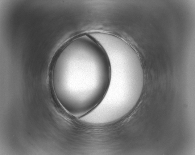 X0000068850344200605051023