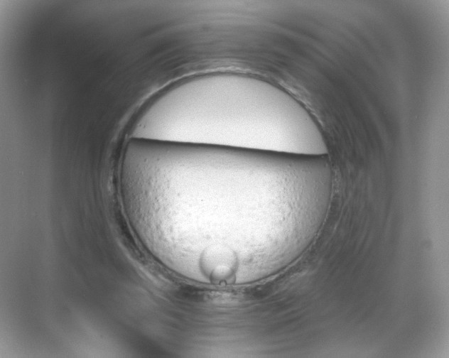 X0000068850347200605051023