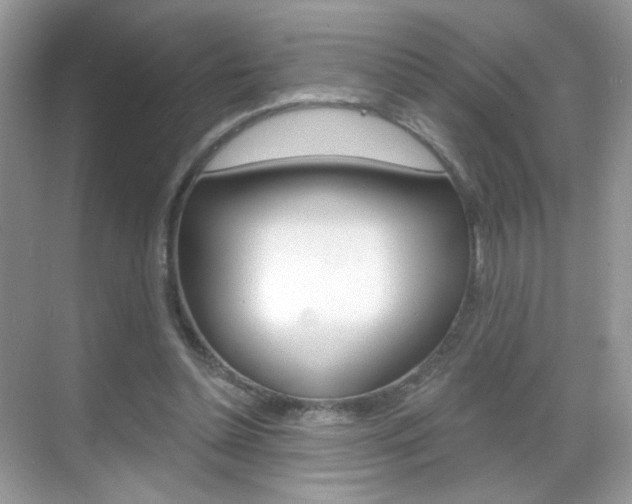 X0000068850348200605051023