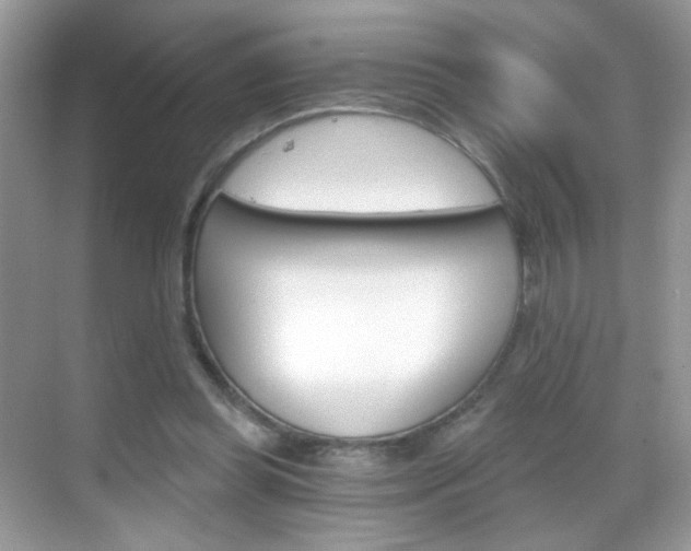 X0000068850349200605051023