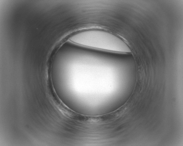 X0000068850350200605051023
