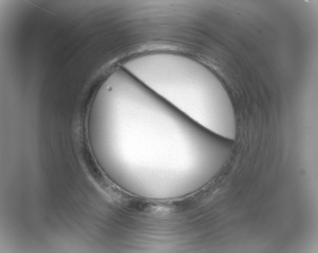 X0000068850352200605051023