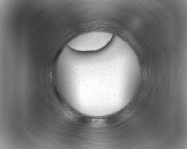 X0000068850363200605051024