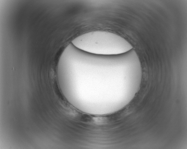 X0000068850371200605051024