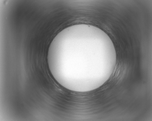 X0000068850382200605051024
