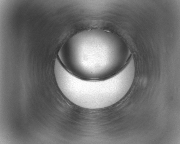 X0000068850384200605051024