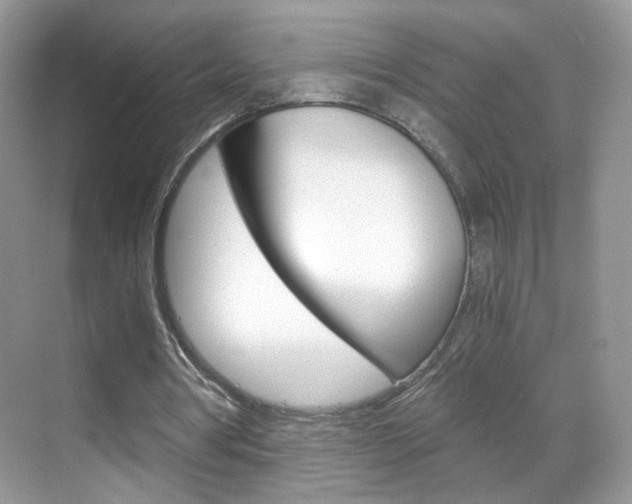 X0000068850386200605051023