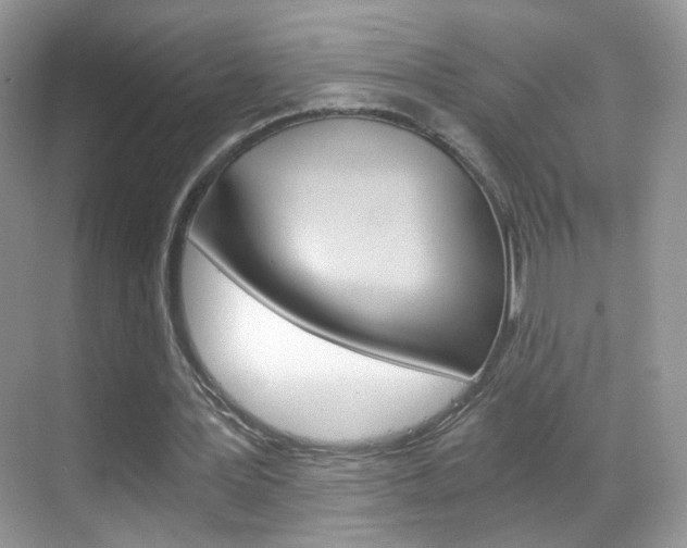 X0000068850387200605051023