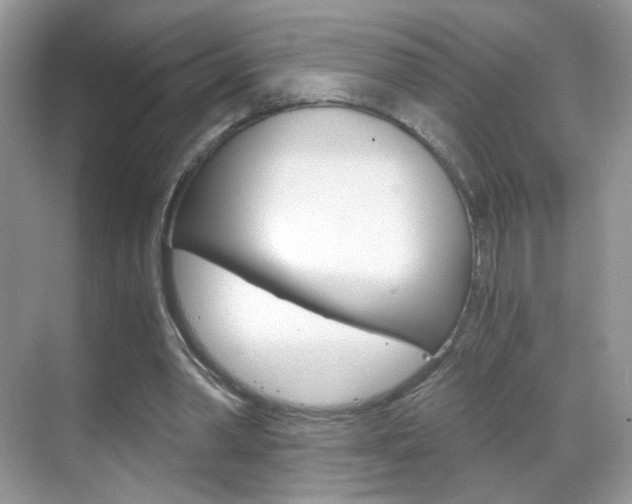 X0000068850390200605051023