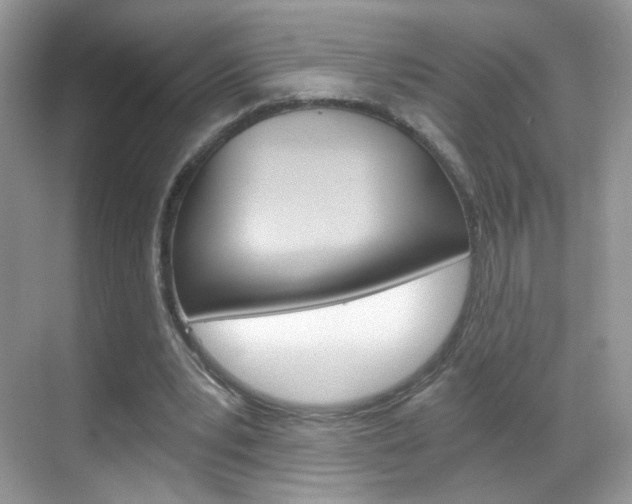 X0000068850391200605051023