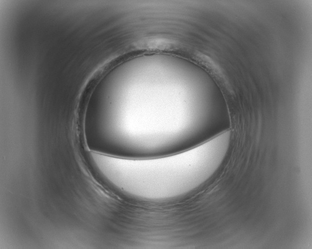 X0000068850392200605051023